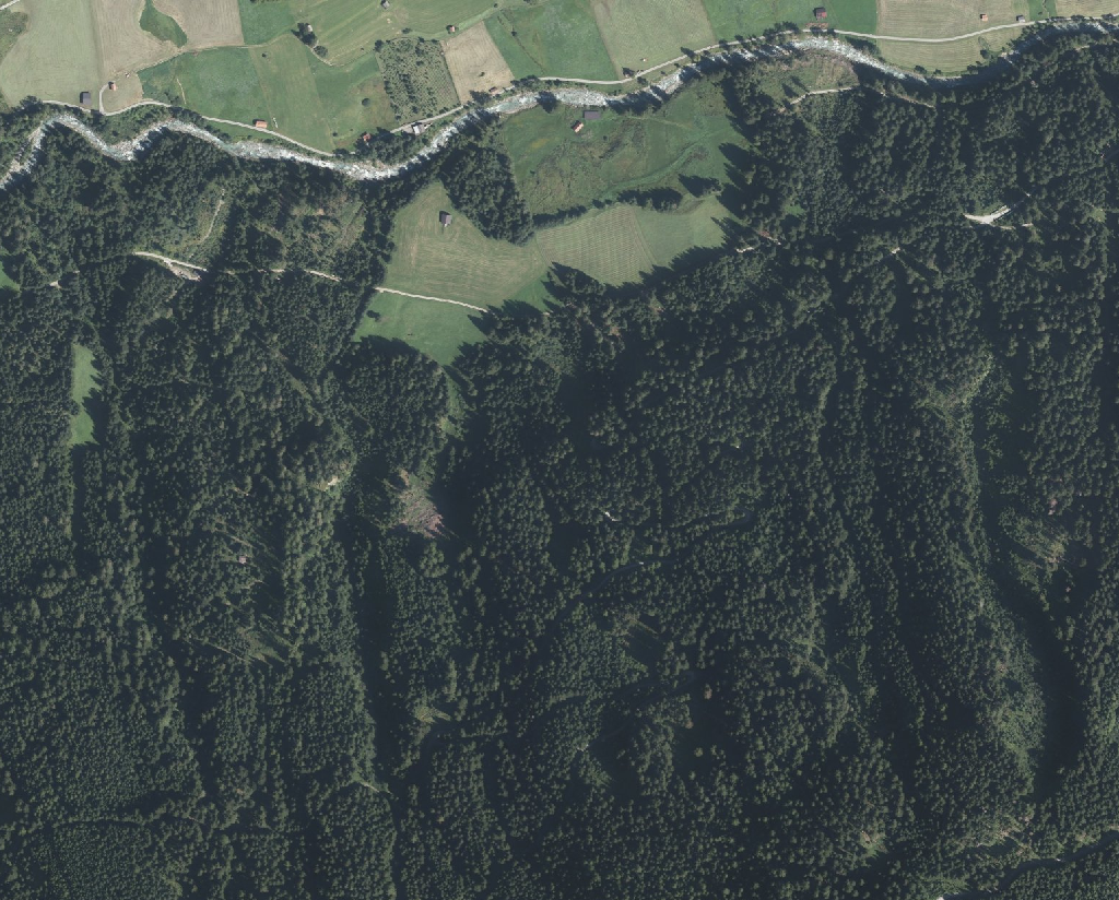 Sample orthophoto